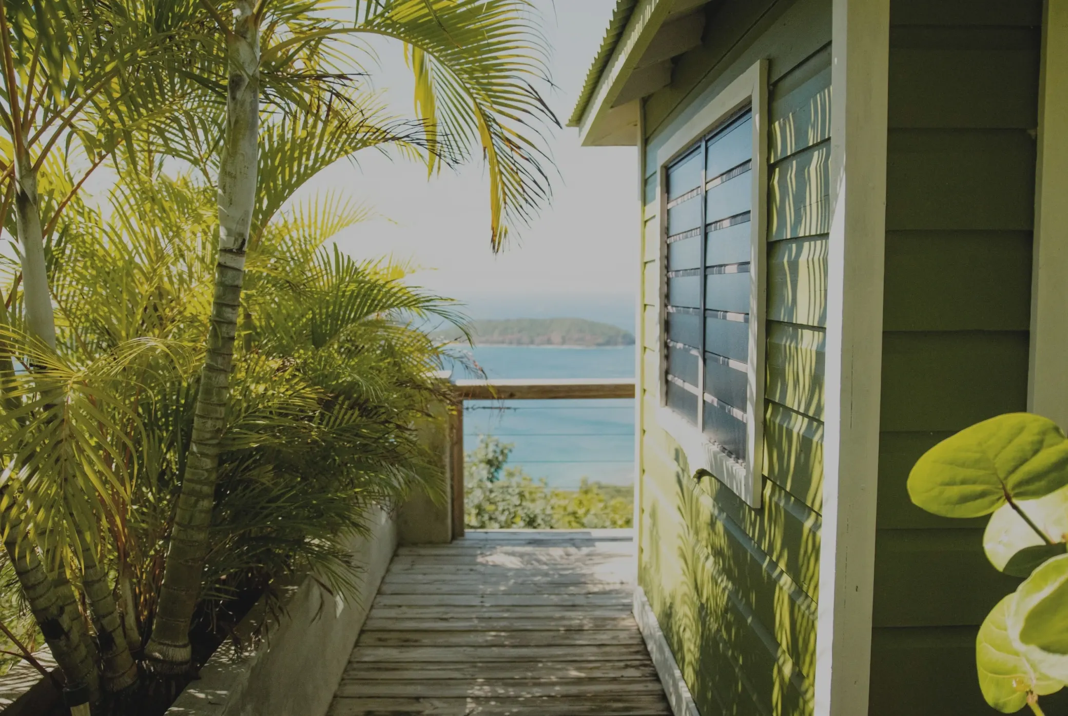 A seaside cottage walkway in harsh midday light